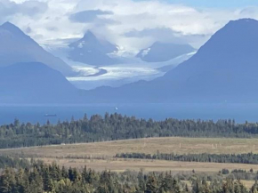 Apartment, walkout basement, Central Homer, Views!